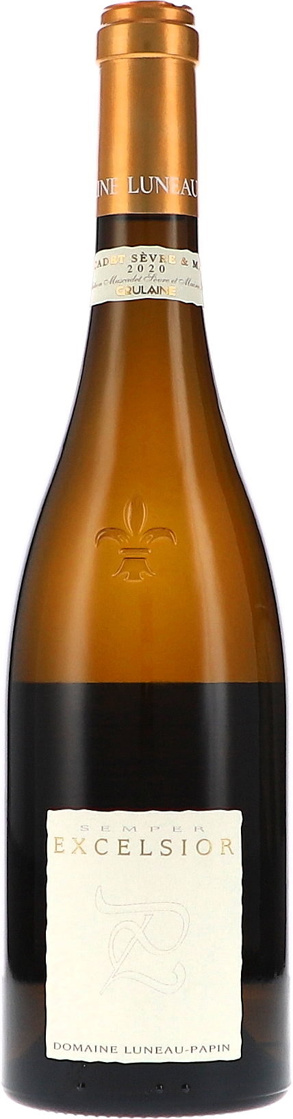 Luneau-Papin Excelsior AOP 2020