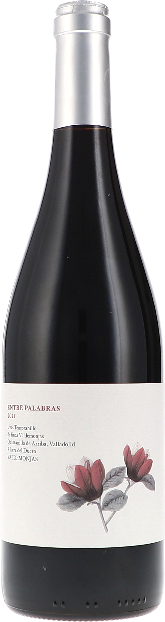 Valdemonjas Entre Palabras - Between Words 2021