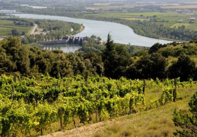 Domaine du Coulet