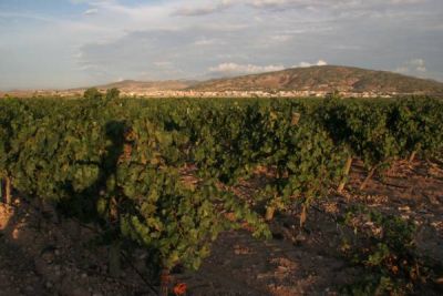 El Sequé (Artadi)