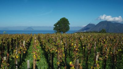 Tenuta di Castellaro