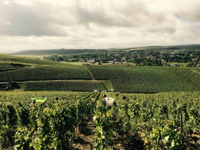 Domaine de l'Enclos