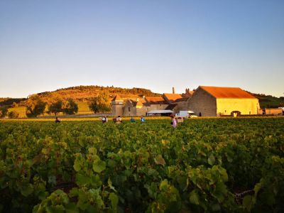 Clos du Moulin aux Moines