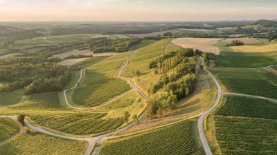 Domaine Grand
