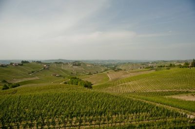 Sottimano