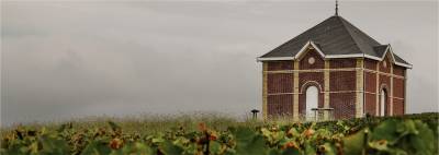 Clos des Papes