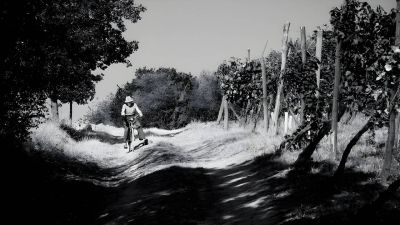 Cinque Campi