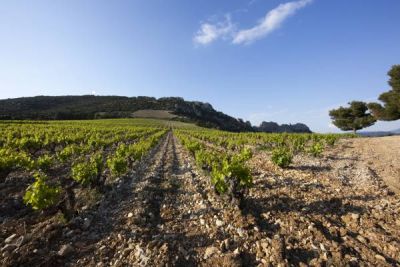 Domaine d'Ourea