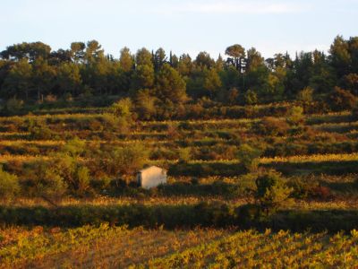 Saint Jean Du Barroux