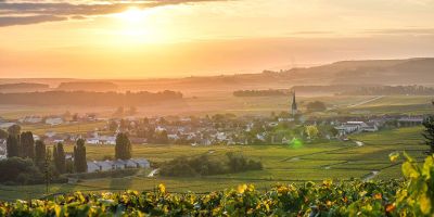 Domaine Lejeune